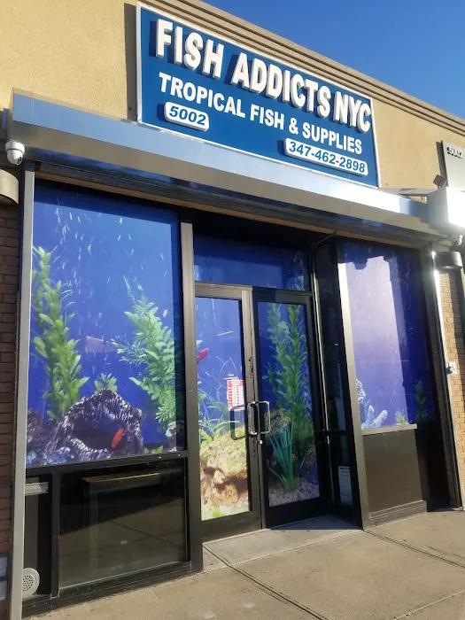 FISH ADDICTS NYC Picture 8
