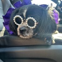Brooklyn Zoo & Aquarium Pet Store ico