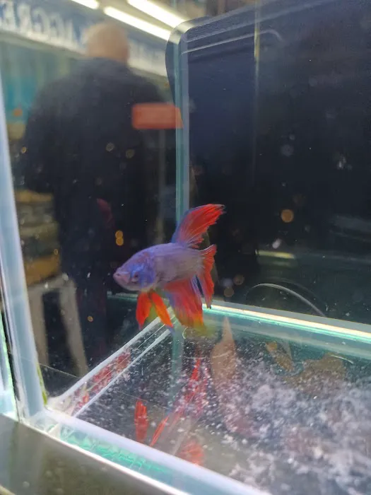 Brooklyn Zoo & Aquarium Pet Store Picture 4