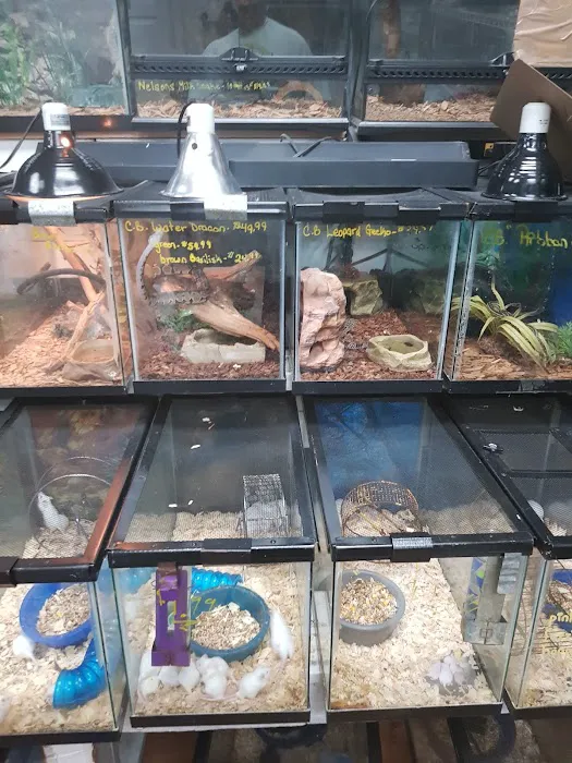 Brooklyn Zoo & Aquarium Pet Store Picture 7