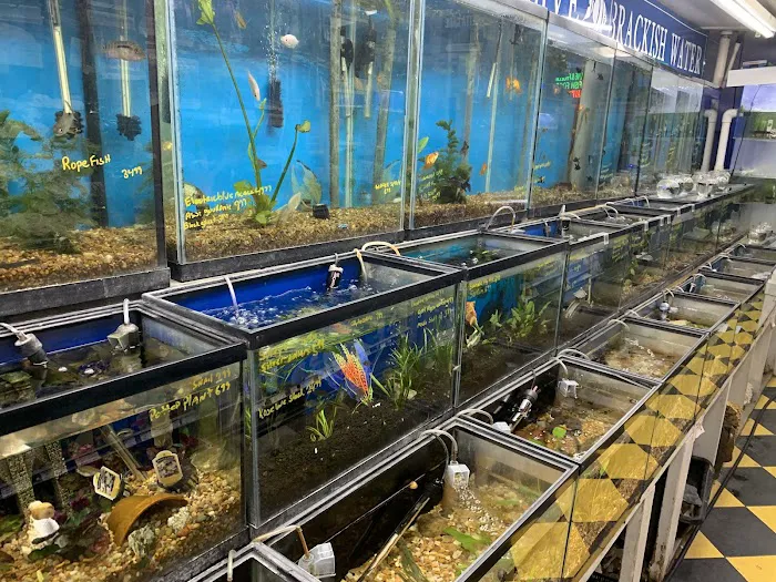 Brooklyn Zoo & Aquarium Pet Store Picture 2