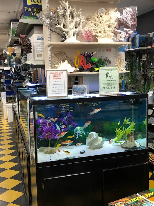 Brooklyn Zoo & Aquarium Pet Store Picture 10
