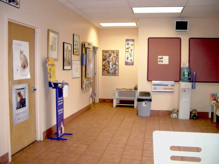 East Islip Animal Hospital Picture 4