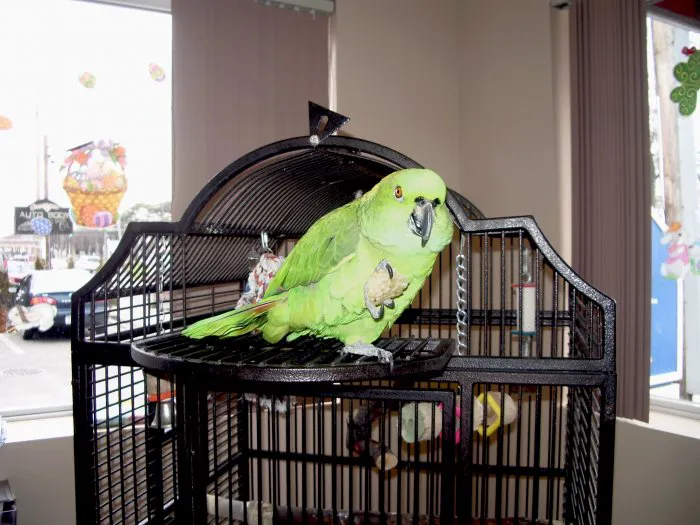 East Islip Animal Hospital Picture 9