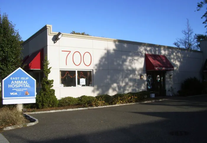 East Islip Animal Hospital Picture 6