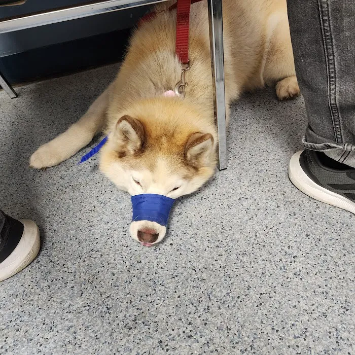 Islip Animal Hospital Picture 10