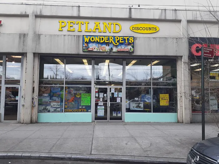 Wonder Pets corp Picture 9