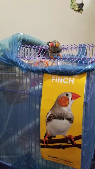 Wonder Pets corp Picture 5