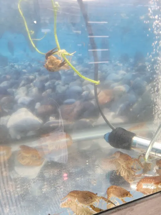 Wonder Pets corp Picture 3