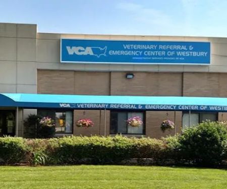 Veterinary Referral & Emergency Center of Westbury
