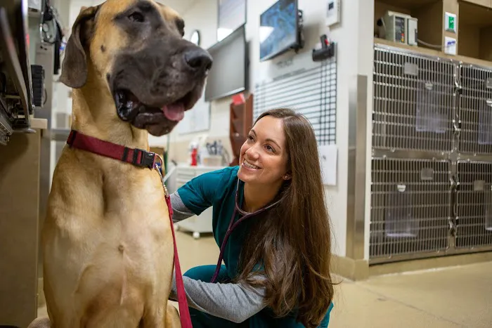 Veterinary Referral & Emergency Center of Westbury Picture 10