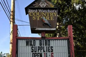 Auto Service Center