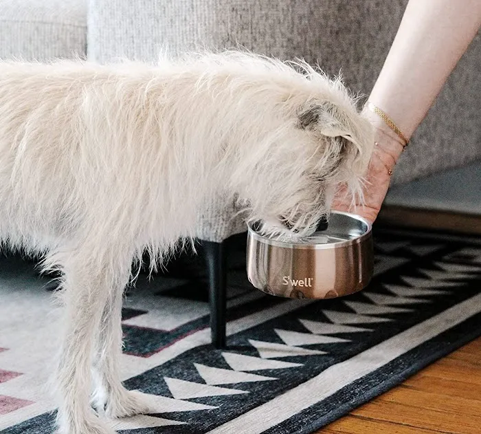 Paul's Custom Pet Food Kitchen + Market Picture 3
