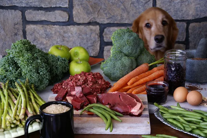 Paul's Custom Pet Food Kitchen + Market Picture 4