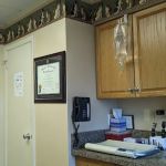 Long Island Animal Hospital