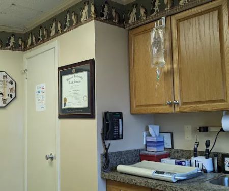Long Island Animal Hospital