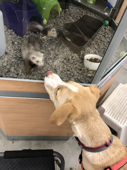Petco Picture 3