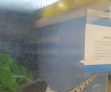 Petco