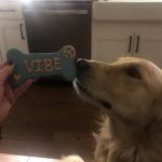 Bark And Biscuit