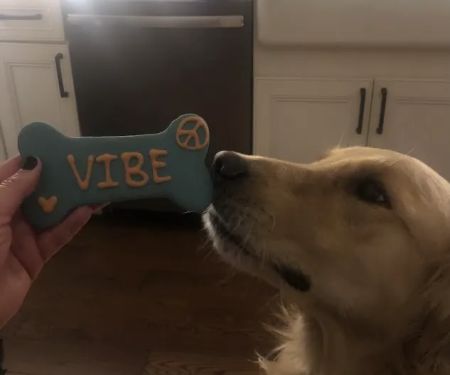 Bark And Biscuit