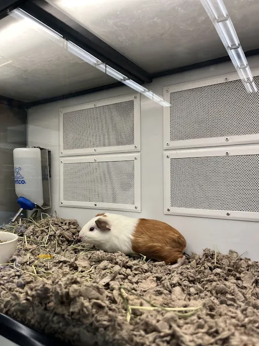 Petco Picture 6