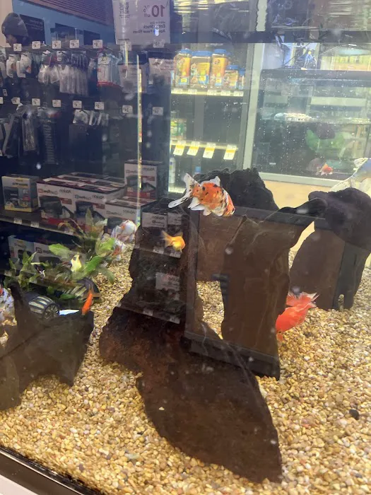Petco Picture 1