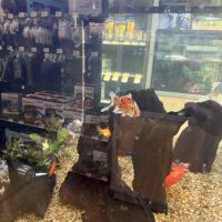 Petco ico