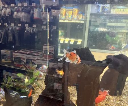 Petco