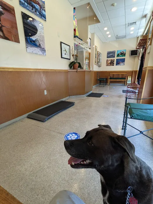 Woodbury Animal Hospital Picture 8