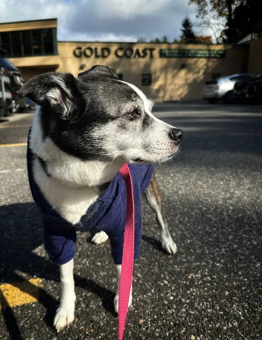 Gold Coast Center for Veterinary Care Picture 7