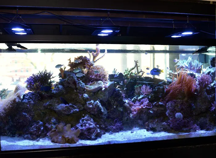 Life Aquatic Picture 10