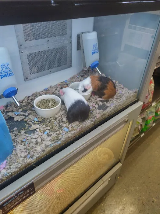Petco Picture 1
