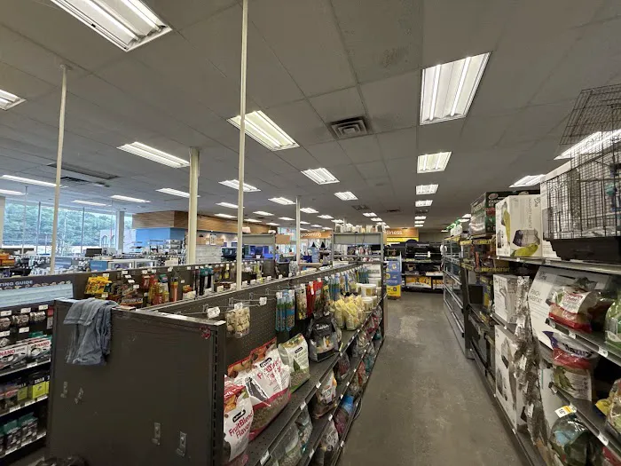 Petco Picture 3