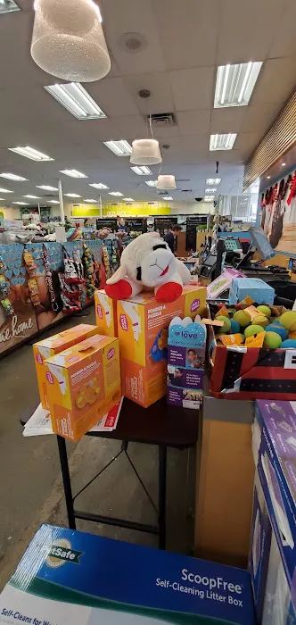Petco Picture 4