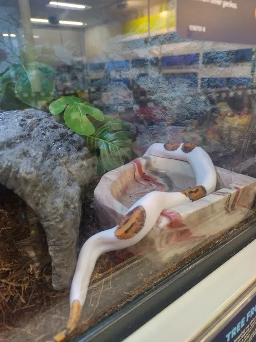Petco Picture 2