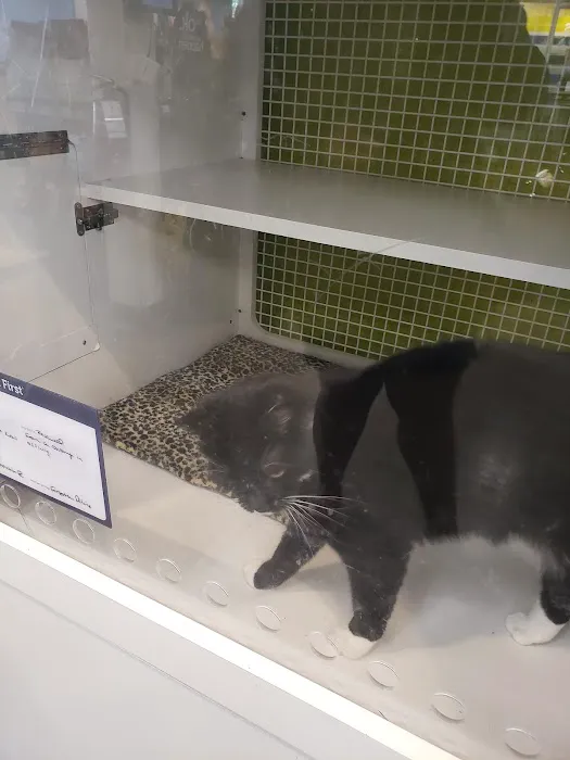 Petco Picture 10