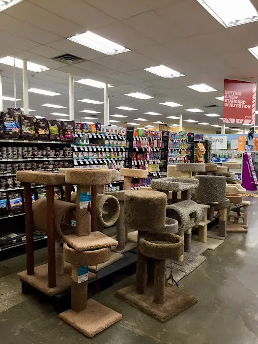 Petco Picture 9