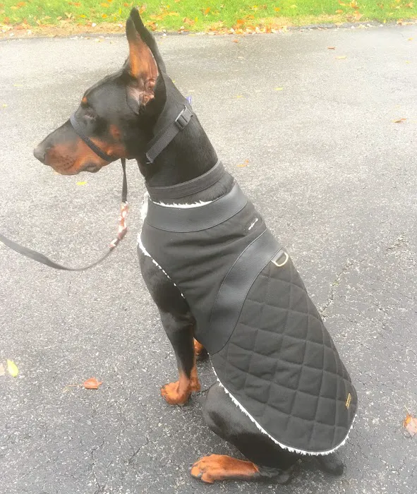 Beaut Outerwear LLC Picture 8