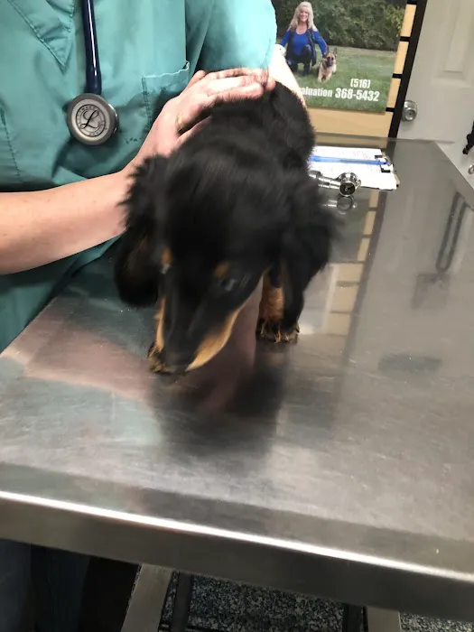 The Animal center LI Picture 4