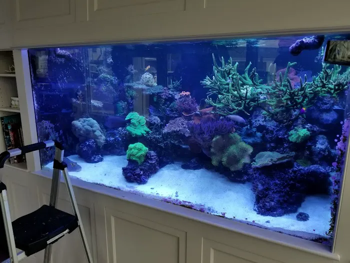 Greenwich Aquaria Picture 4