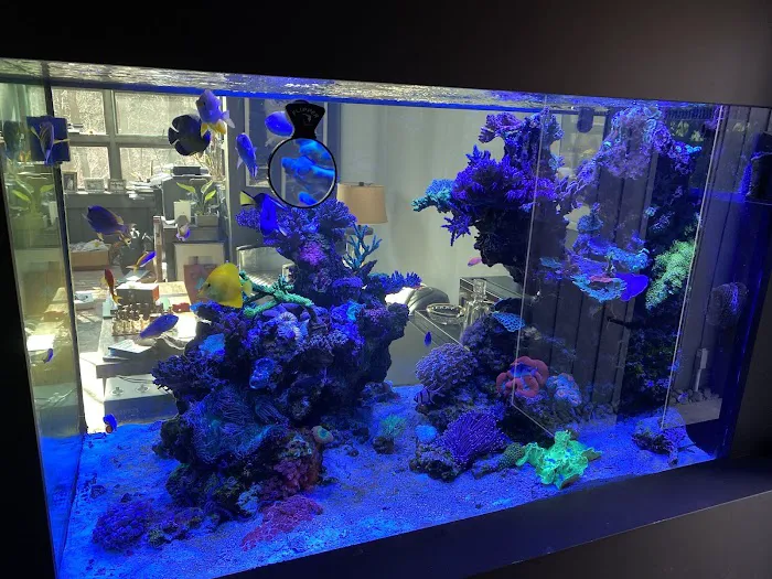 Greenwich Aquaria Picture 1