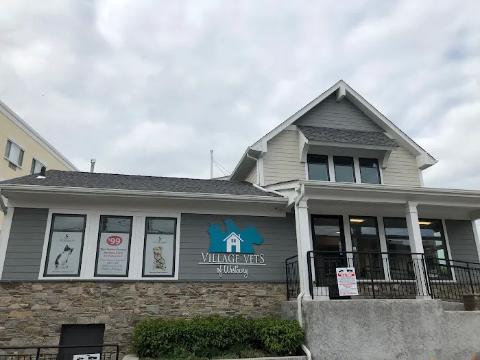 Veterinary Care Group - Westbury Picture 2