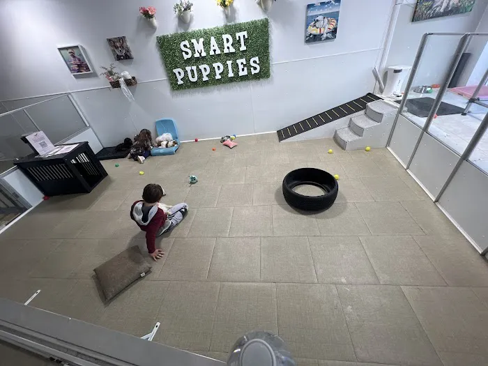 Smart Puppies For Sale, Inc. Picture 1