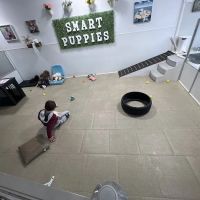 Smart Puppies For Sale, Inc. ico