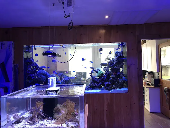 House of Fins Picture 4