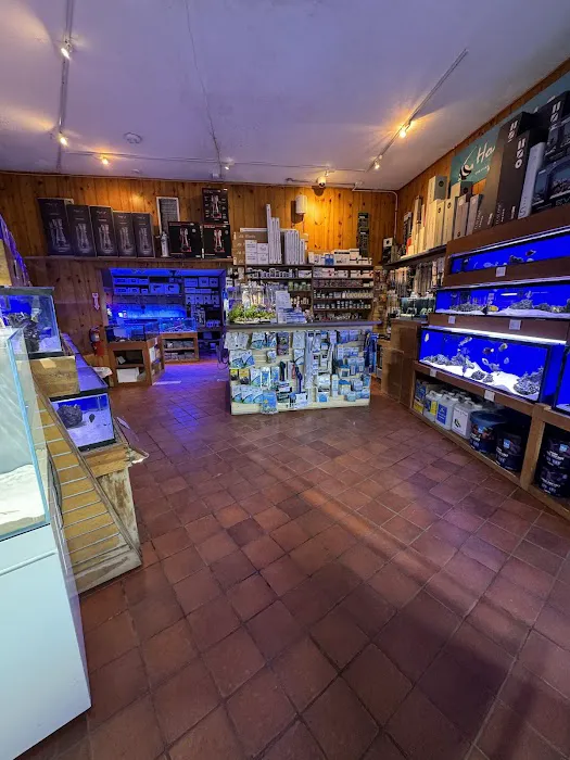 House of Fins Picture 3