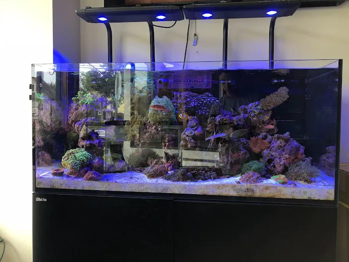 House of Fins Picture 7