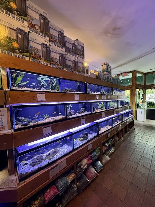 House of Fins Picture 1