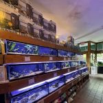 House of Fins