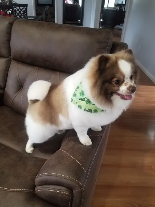 Banfield Pet Hospital Picture 5